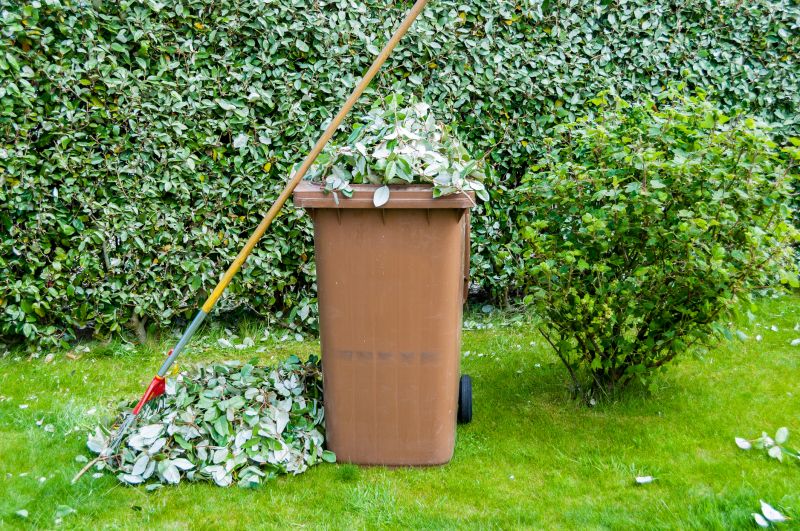 Lawn Waste Removal