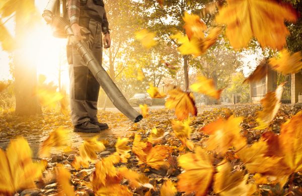 Leaf Blowing Service in Camarillo