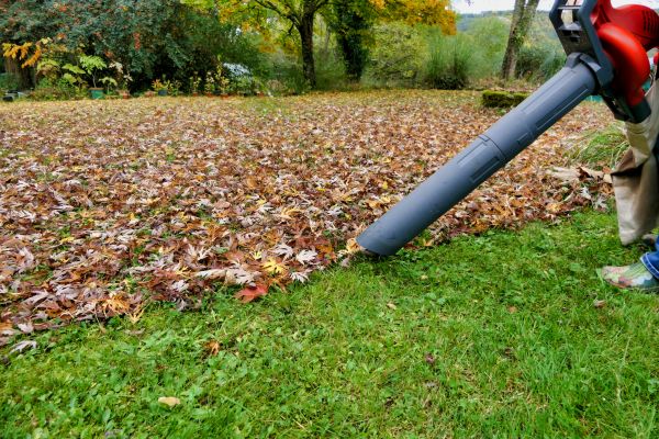 Leaf Vacuuming Service in Camarillo
