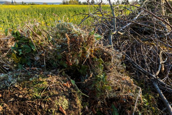 Brush Disposal in Camarillo