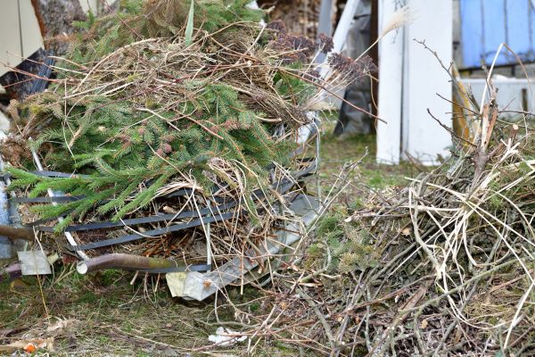 Yard Waste Removal Service in Camarillo