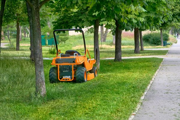 Landscaping Cleanup Service in Camarillo
