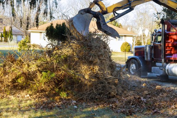 Storm Debris Removal in Camarillo