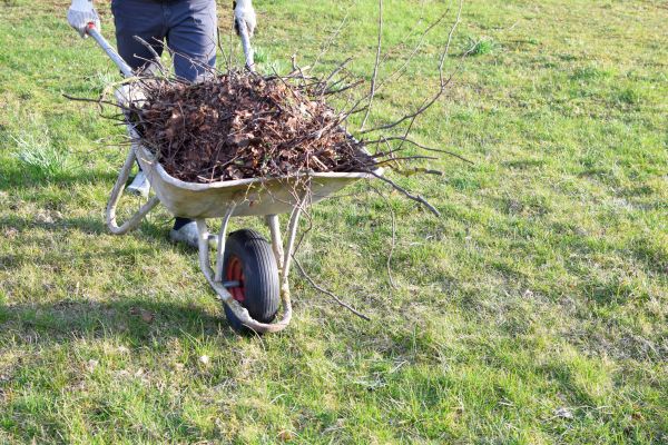 Yard Brush Removal in Camarillo