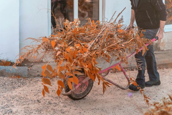 Lawn Debris Cleanup in Camarillo