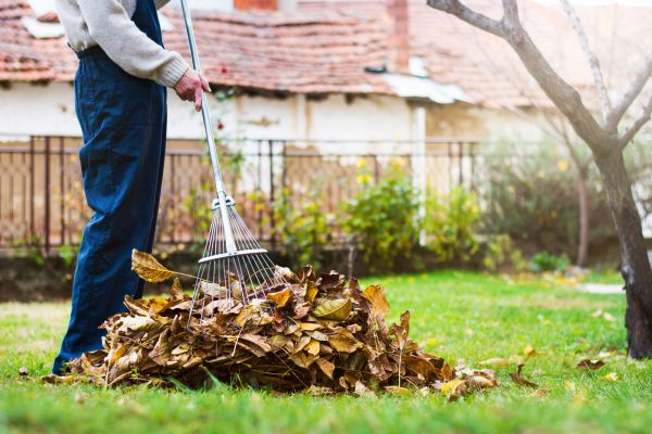 Spring Lawn Cleanup in Camarillo