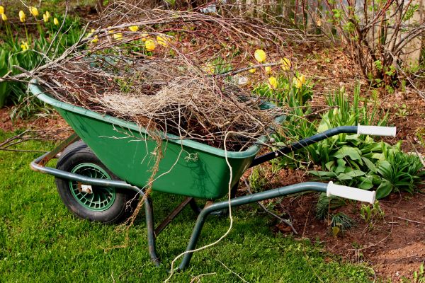 Lawn Waste Removal in Camarillo