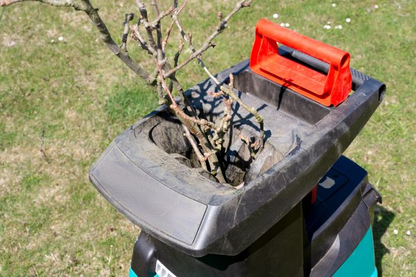 Brush Cleanup Service in Camarillo