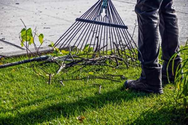 Yard Debris Cleanup in Camarillo