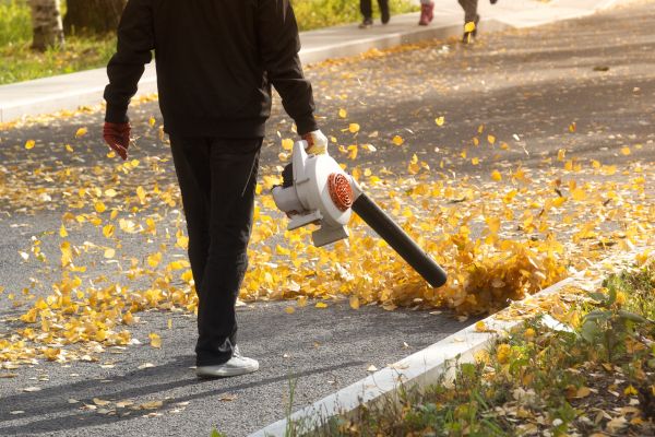 Commercial Leaf Removal in Camarillo